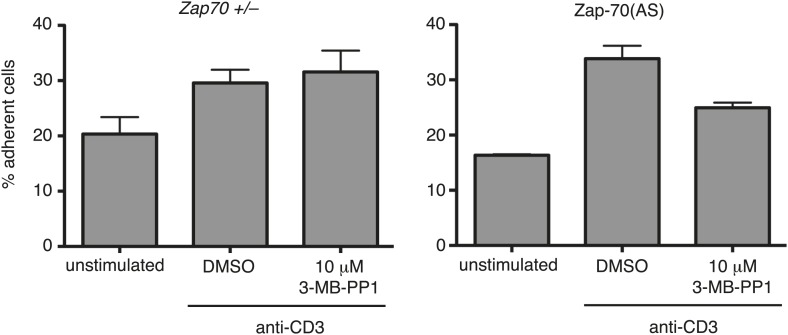 Figure 4—figure supplement 1.