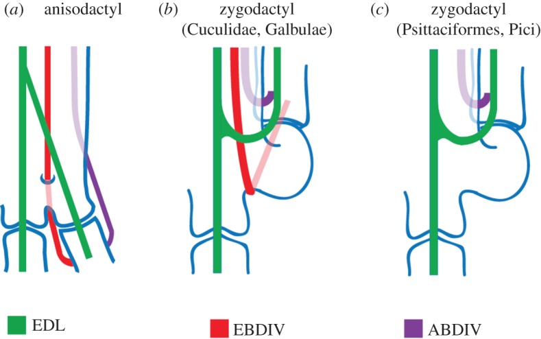 Figure 6.