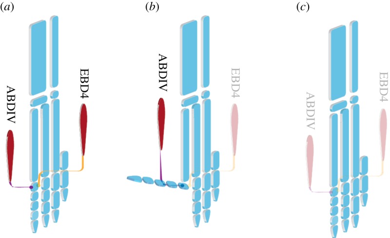 Figure 7.