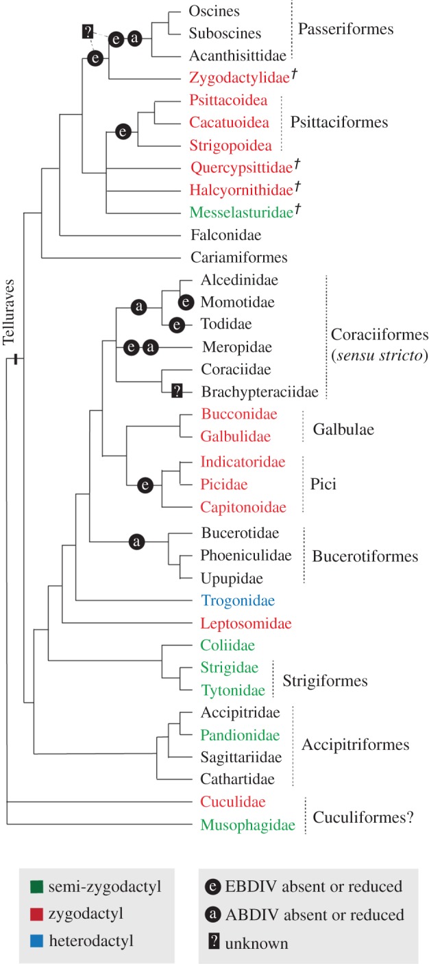 Figure 5.