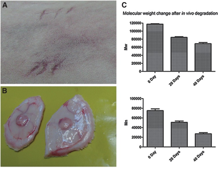 FIG. 7.