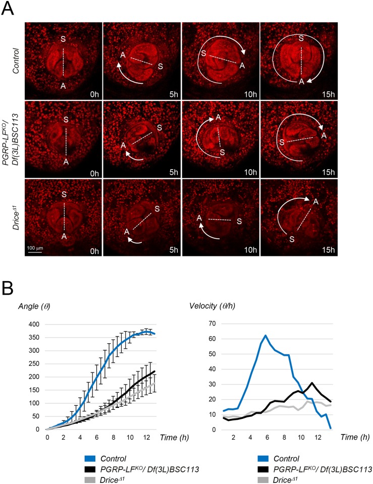 Fig 6