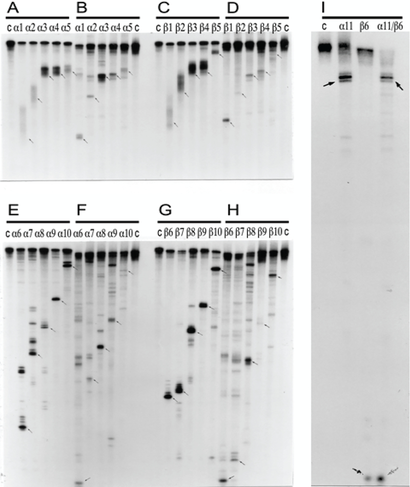 Figure 5: