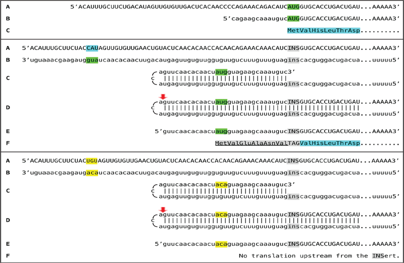 Figure 15: