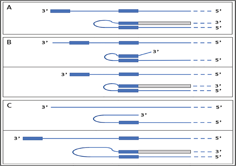 Figure 9: