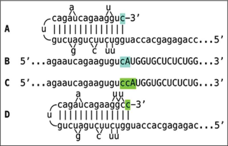 Figure 8: