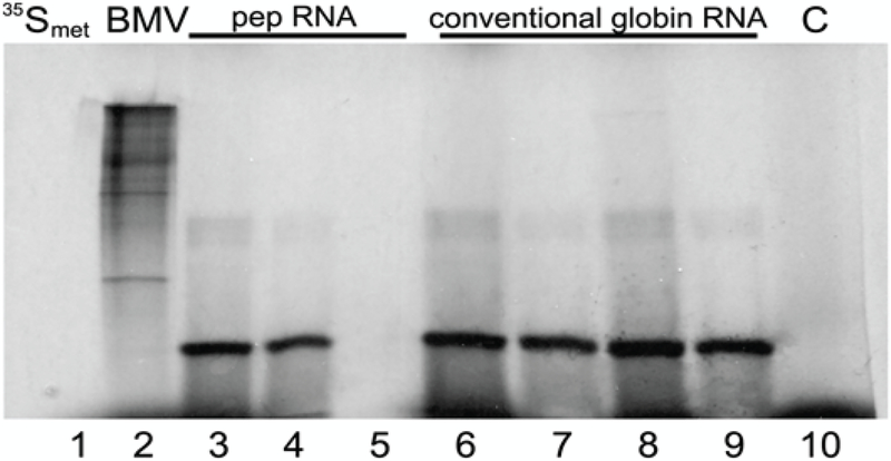 Figure 6: