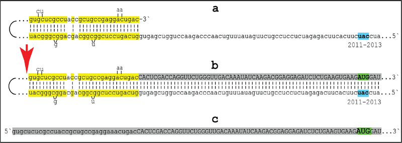 Figure 12: