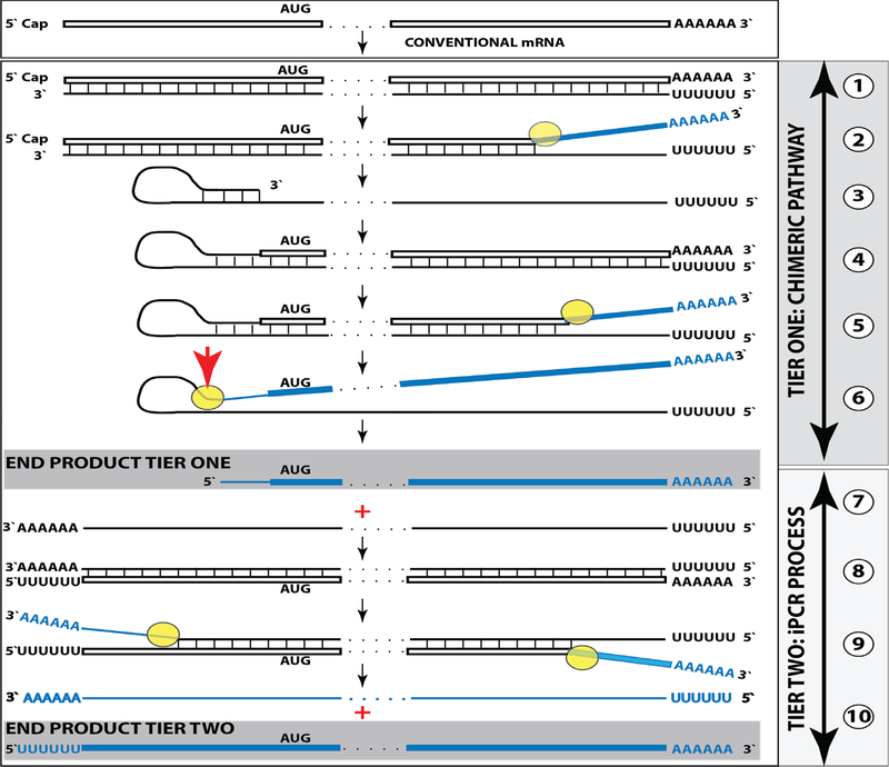 Figure 10: