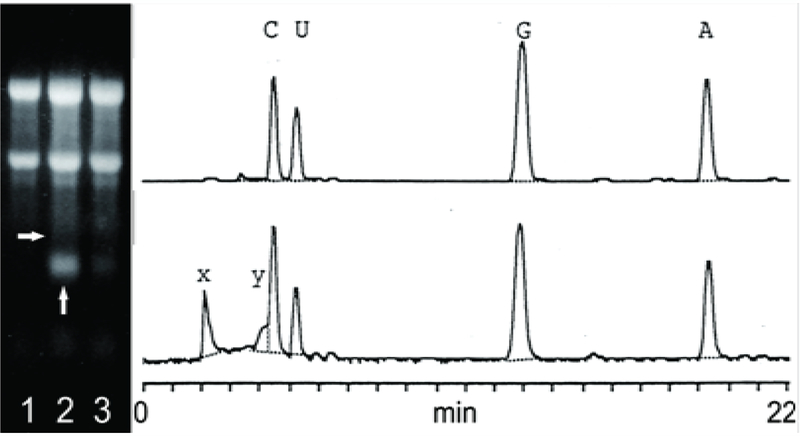 Figure 4: