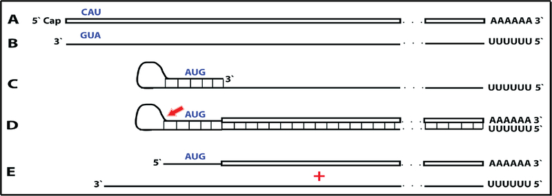 Figure 14: