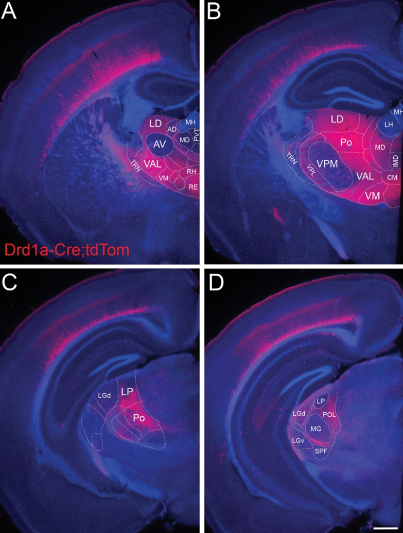 Figure 3.