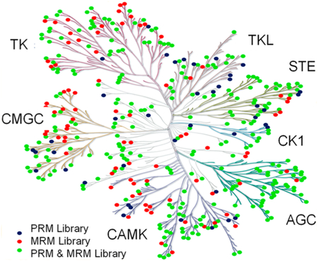 graphic file with name nihms-1018821-f0001.jpg