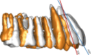Fig. 11