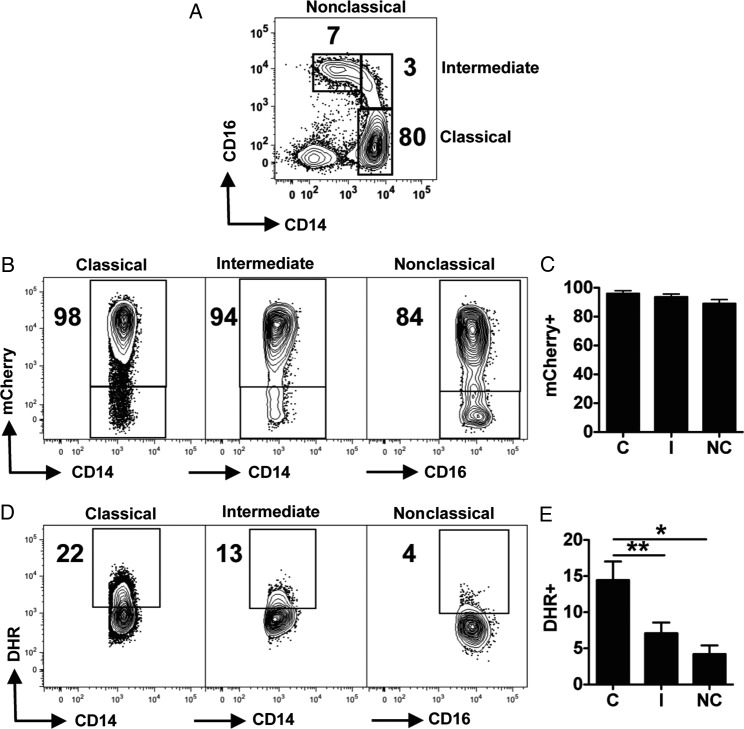 Figure 3.