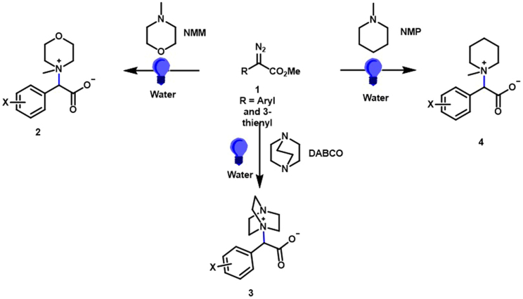 Scheme 2