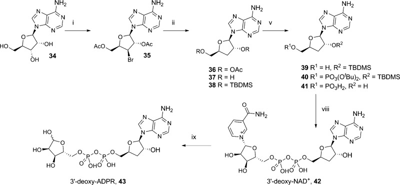 Scheme 7