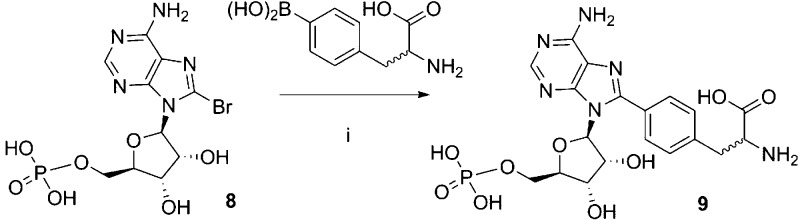 Scheme 2