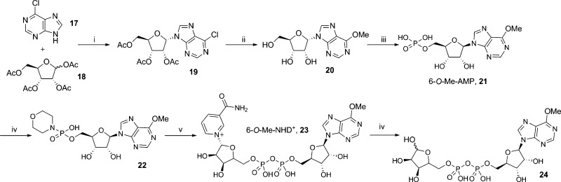 Scheme 4