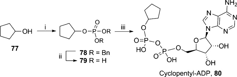 Scheme 13