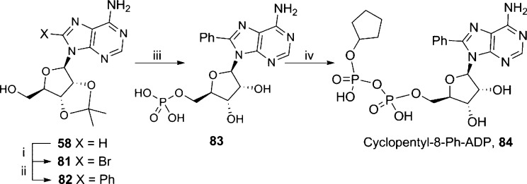 Scheme 14