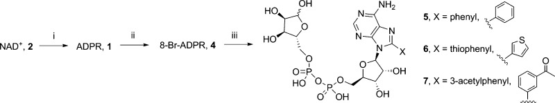 Scheme 1