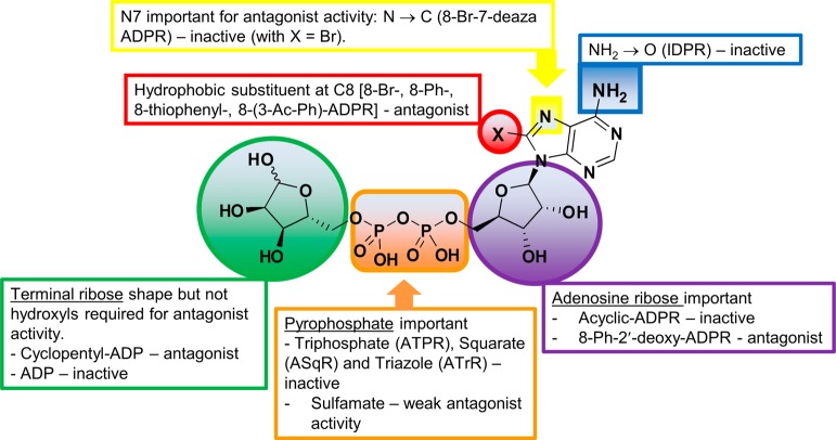 Figure 13