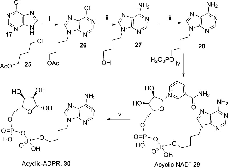 Scheme 5