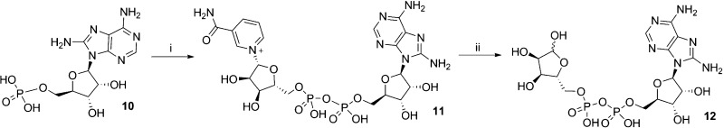 Scheme 3