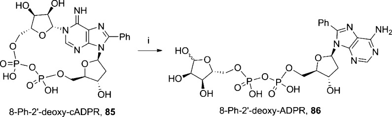 Scheme 15