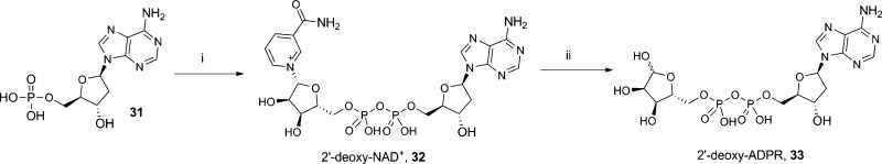 Scheme 6