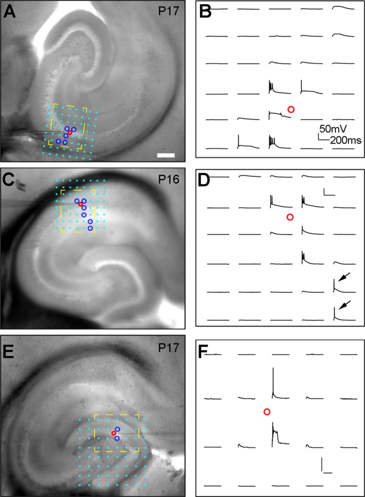 Figure 9