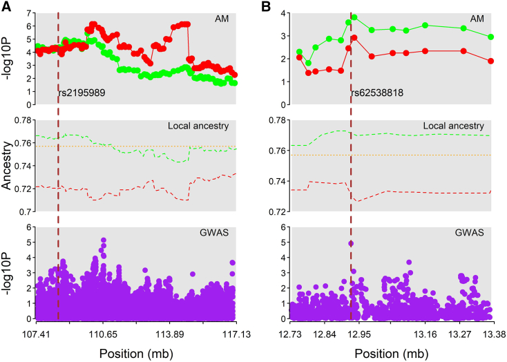 Figure 4