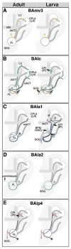 Figure 10