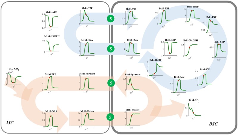 Figure 8