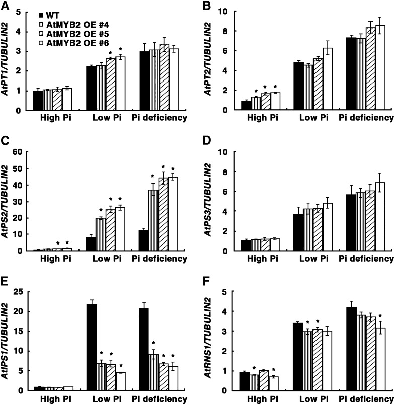 Figure 6.