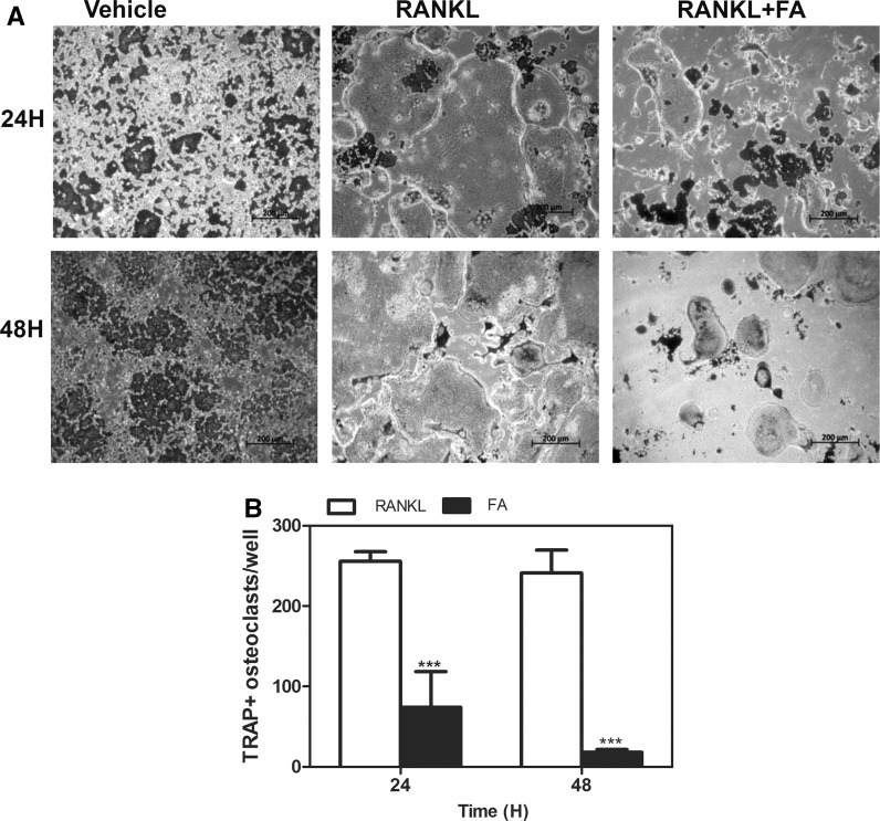 Fig. 4