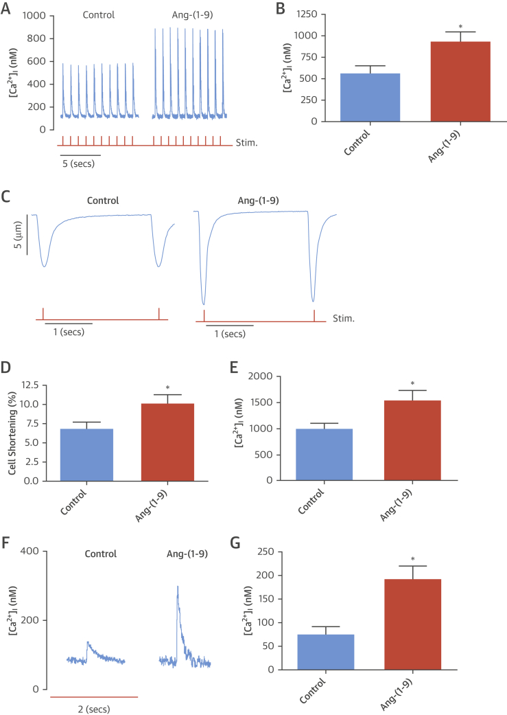 Figure 6