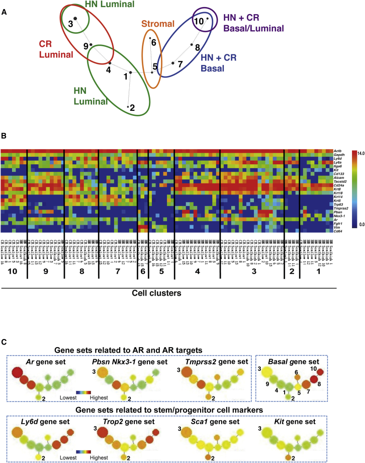 Figure 2