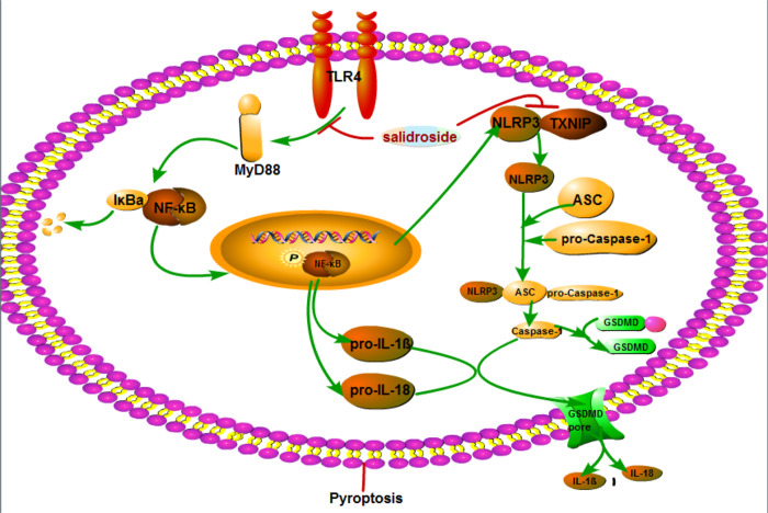 Figure 11