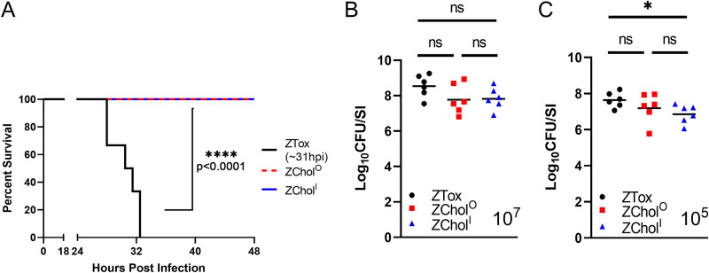 FIG 2