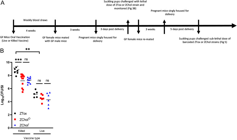 FIG 3