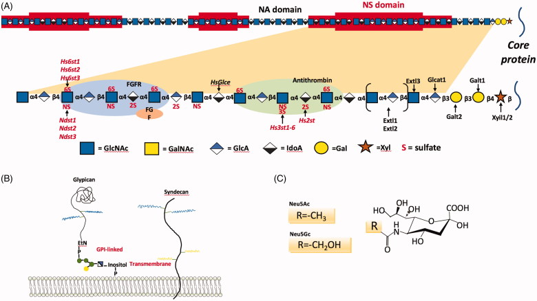 Figure 5.