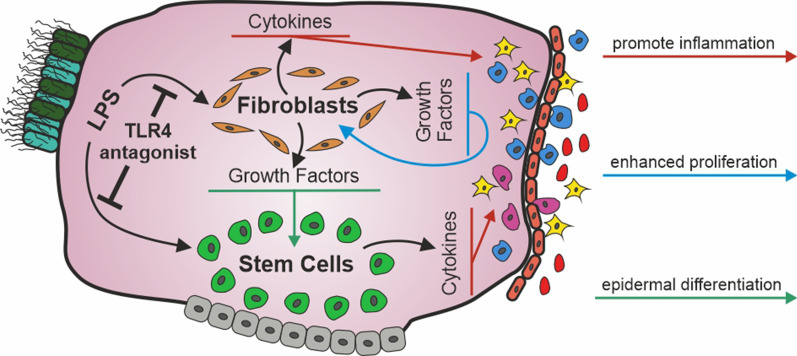 graphic file with name 12964_2020_690_Figa_HTML.jpg