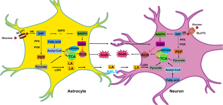 FIGURE 1