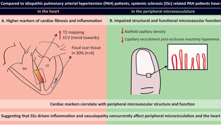 Graphical Abstract