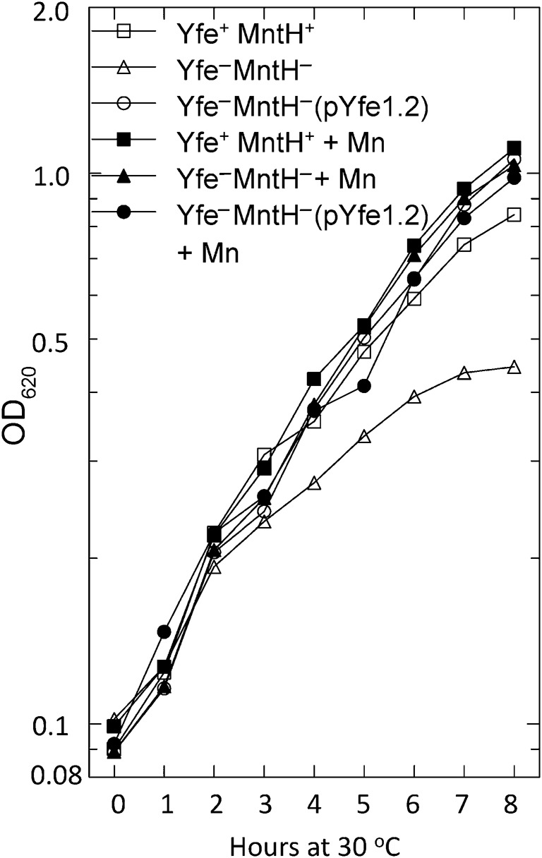 Fig. 2. 