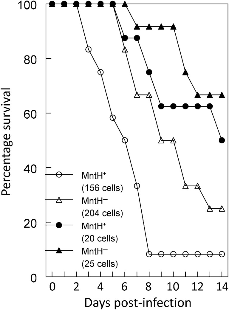 Fig. 8. 