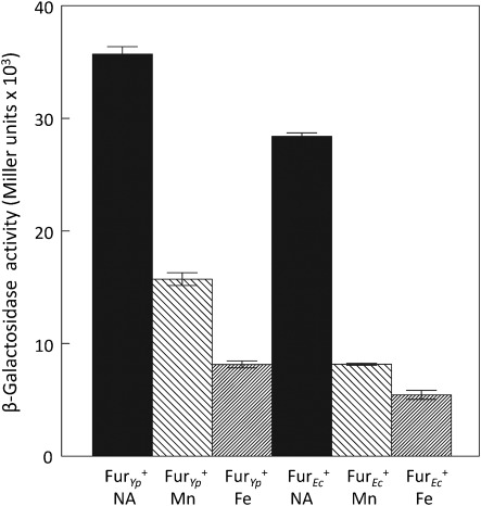 Fig. 5. 