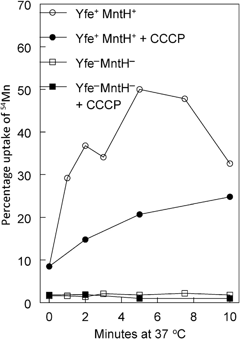 Fig. 3. 